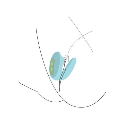 XOCOON - POTENZIATORE PRELIMINARI DI COPPIA MENTA - immagine 8