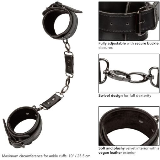 CALEXOTICS - EUPHORIA POLSINI ALLA CAVIGLIA - immagine 7