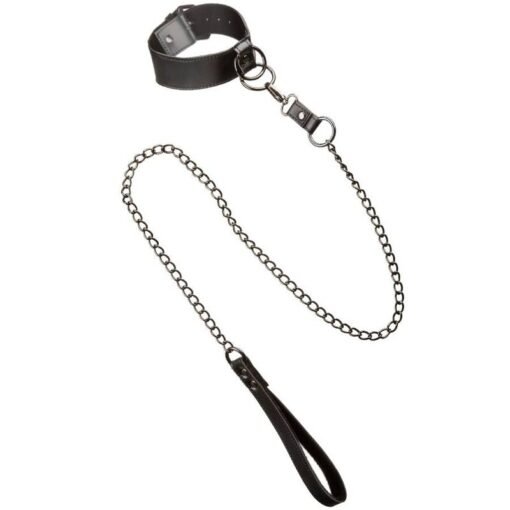 CALEXOTICS - EUPHORIA COLLARE CON GUINZAGLIO A CATENA - immagine 5