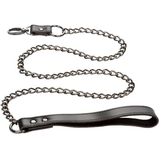 CALEXOTICS - EUPHORIA COLLARE CON GUINZAGLIO A CATENA - immagine 4
