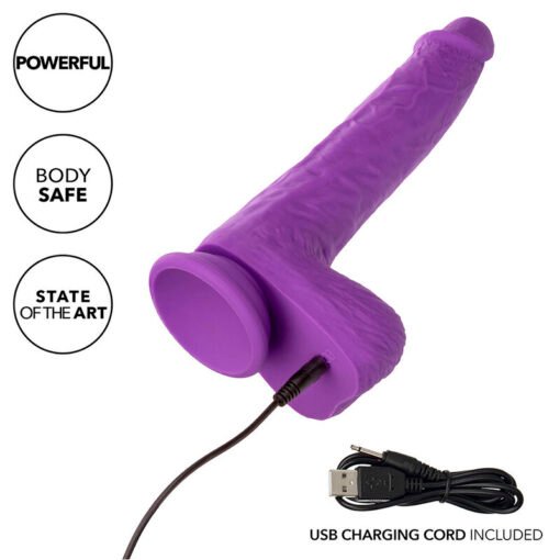 CALEXOTICS - STUDS VIBRATORE RICARICABILE E ROTANTE 10 VIBRAZIONI VIOLA - immagine 7