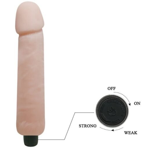 BAILE - DILDO VIBRATORE LOVE COMPANION 25 CM - immagine 5